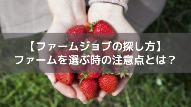 ファームジョブ探し方